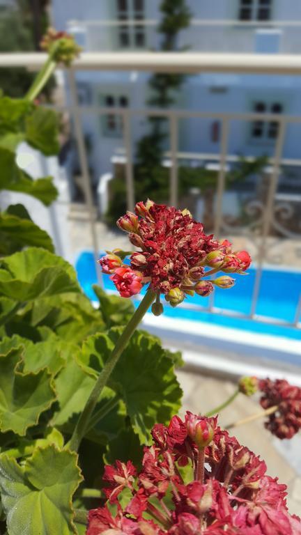 Piskopiano Studios Dış mekan fotoğraf